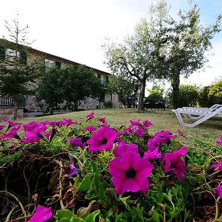 Colle Degli Olivi Snc Country house