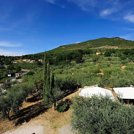 Colle Degli Olivi Snc