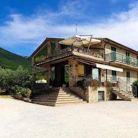 Colle Degli Olivi Snc *