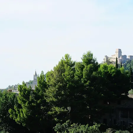 Летний дом Colle Degli Olivi Snc *