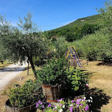 カントリーハウス Colle Degli Olivi Snc アッシジ