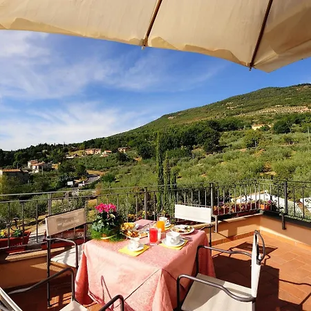 Colle Degli Olivi Snc