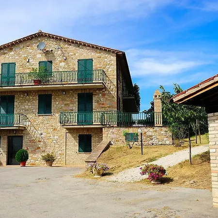 Colle Degli Olivi Snc