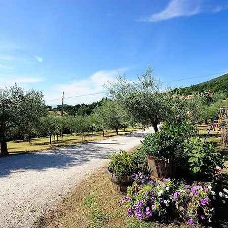 Country house Colle Degli Olivi Snc