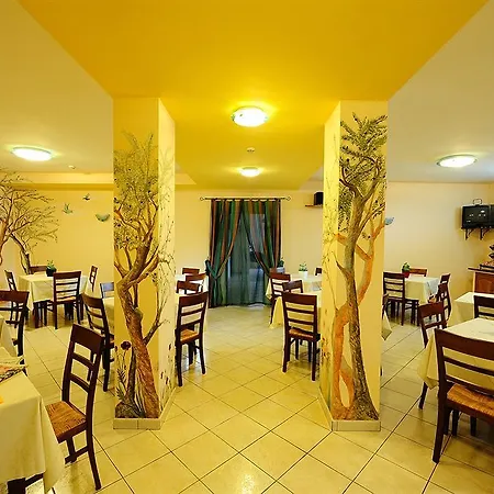 Colle Degli Olivi Snc * Ассизи